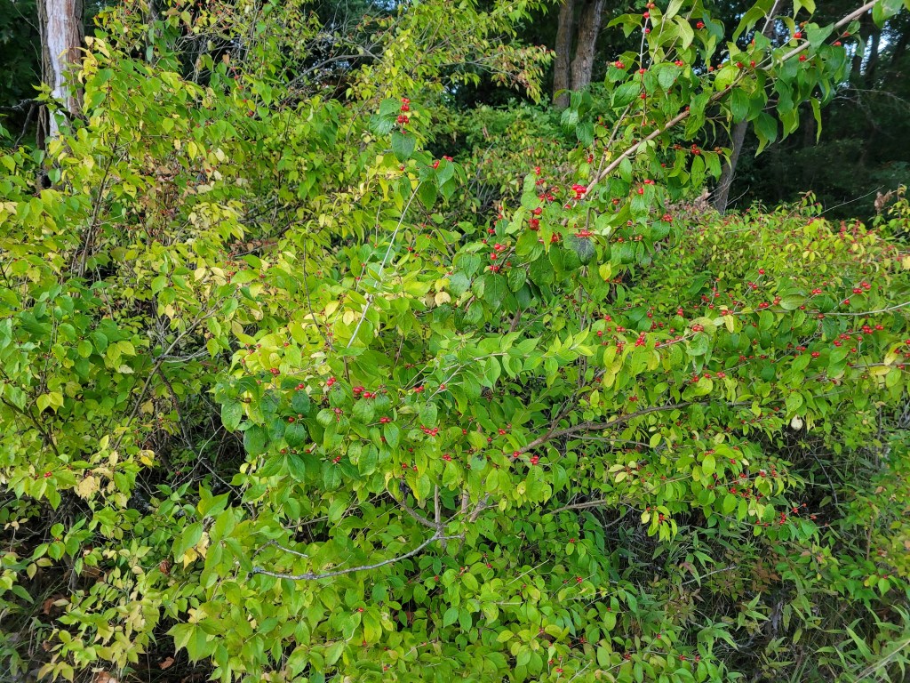 This image has an empty alt attribute; its file name is 20210925_by-alyssa-nyberg.jpg