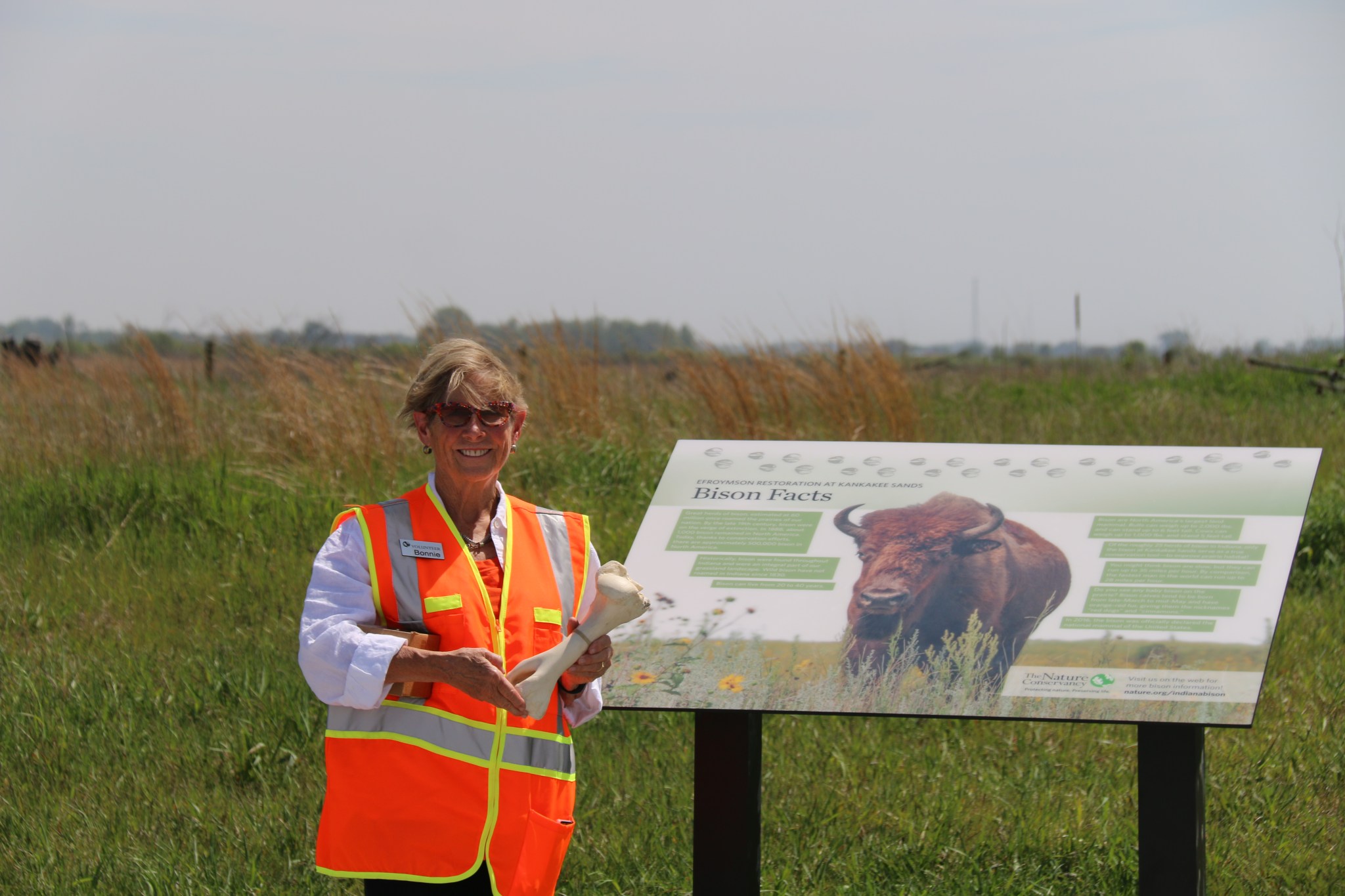 Bison Ranger Riser Heading South for the Spring – Friends of the Sands
